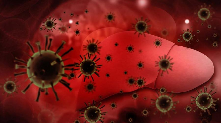 Инфекционные заболевания гепатит а. Гепатит A — что это такое и как передаётся. Общие сведения о вирусе
