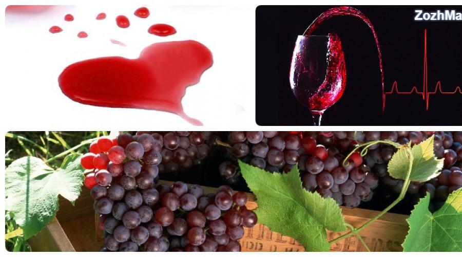 Какое вино полезнее красное или белое. Какое вино полезнее – красное или белое? Сухое вино: его польза и вред
