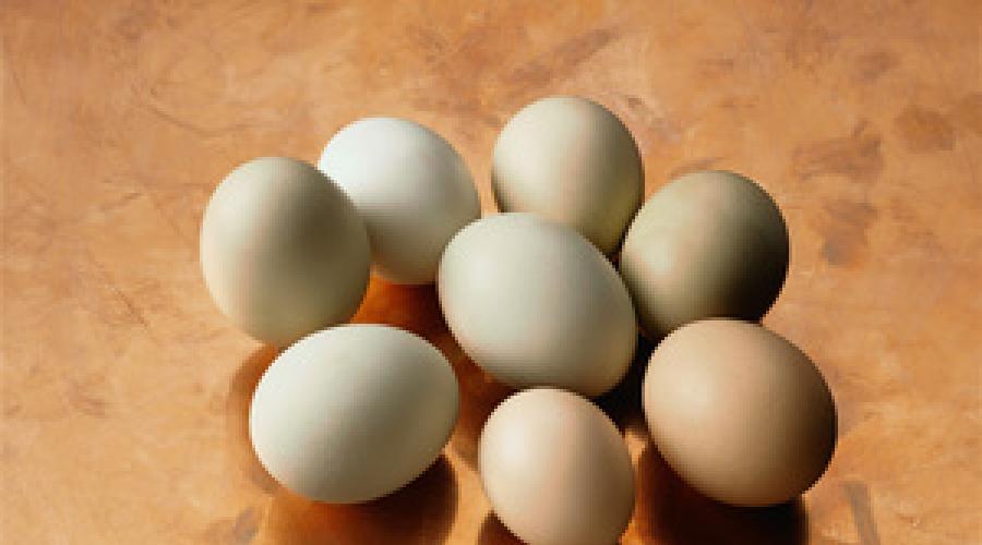 1 куриное яйцо сколько белка. Актуальный вопрос: сколько в одном яйце грамм белка? Состав и пищевая ценность