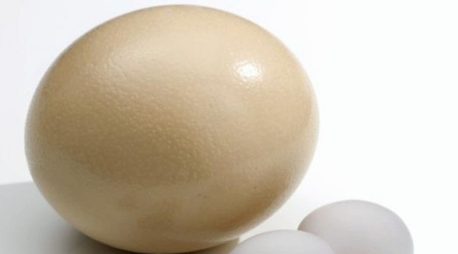 Во сколько дают яйцо детям. Прикорм для грудничка: яичный желток. Какие яйца нельзя давать крохе