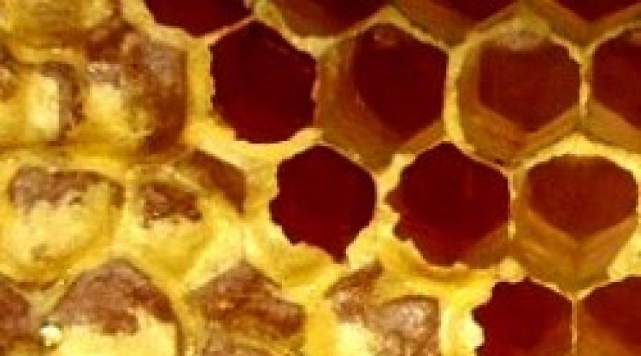 О применении и пользе продуктов пчеловодства. Пчелопродукты. Основные виды, характеристики и полезные свойства Пчелы и их продукты