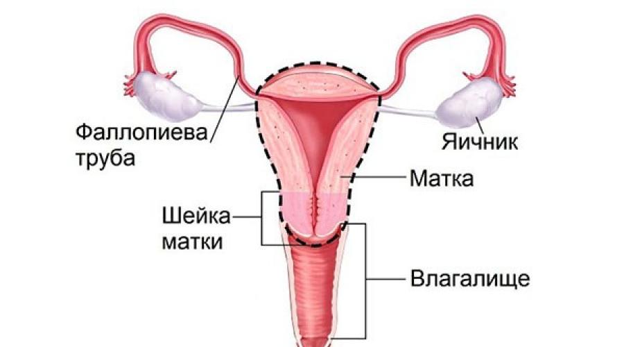 A îndepărtat uterul și o consecință ovariană. Cum să evitați consecințele grave după operație pentru a elimina uterul la femei. Când se numește intervenția promptă