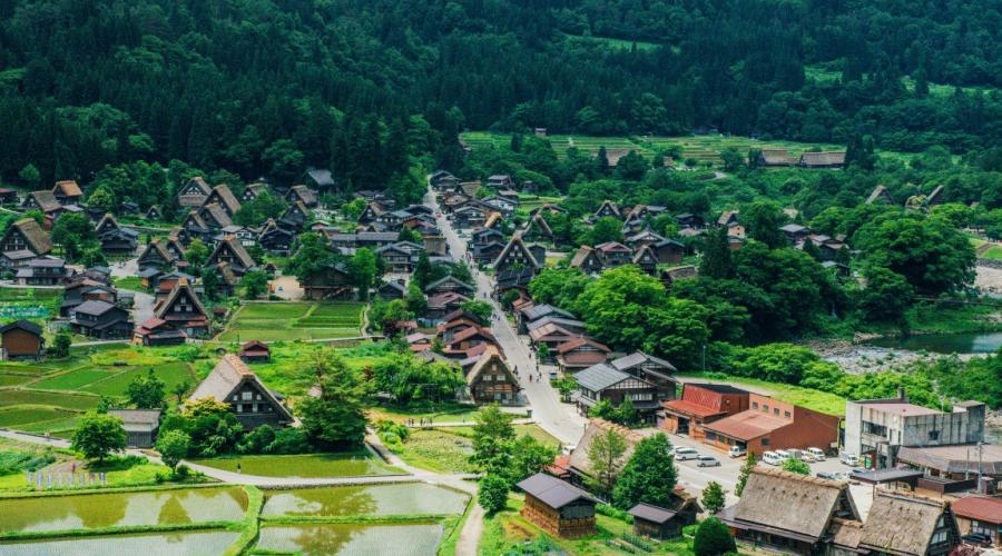 Ce culturi au fost cultivate în Japonia. Japonia Agricultură Scurtă Japonia, animale, cultură, cultivare, industrie, structură, probleme, pescuit, pește, pescuit, figură, fructe de mare, resurse, specializare, plan, afaceri, japonez, turism, turism