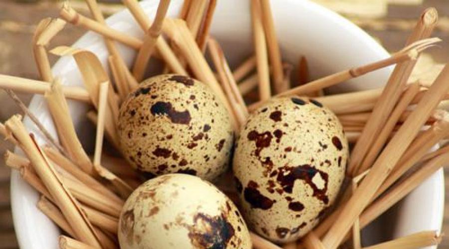 Как лучше есть перепелиные яйца. Перепелиные яйца: маленькое чудо природы с большой пользой для здоровья. Правила употребления сырых яиц