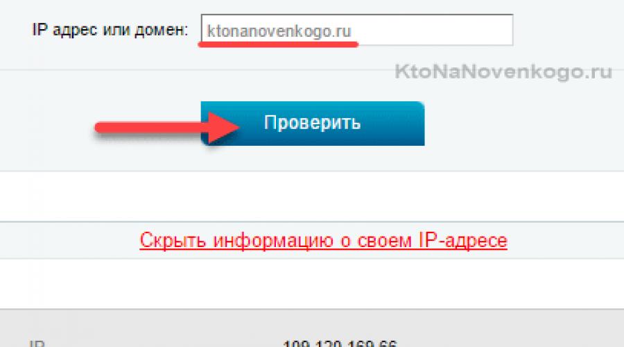 Что такое hosting. Что такое хостинг: для чего он нужен и какие виды бывают? Кому это нужно