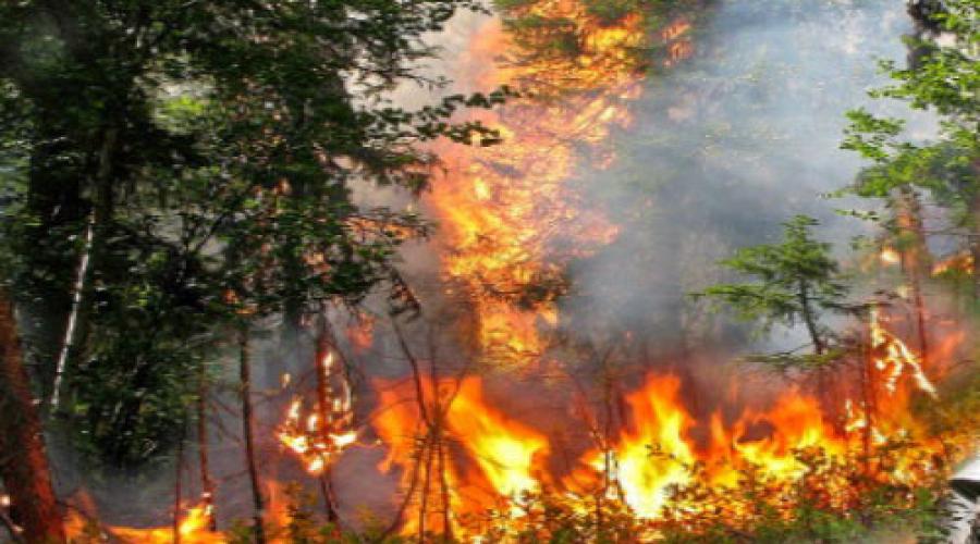 Видишь горит. Огонь пожар в лесу во сне. Приснился большой пожар. Сны предвещающие пожар. К чему снится пожар в лесу для женщины.