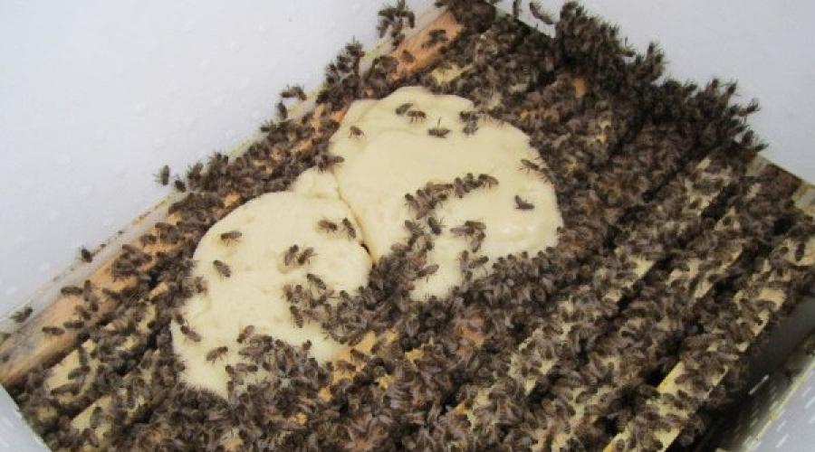 Cum se pregătește sirop de zahăr pentru albine. Sirop de zahăr pentru hrănirea albinelor. Metode similare de hrănire