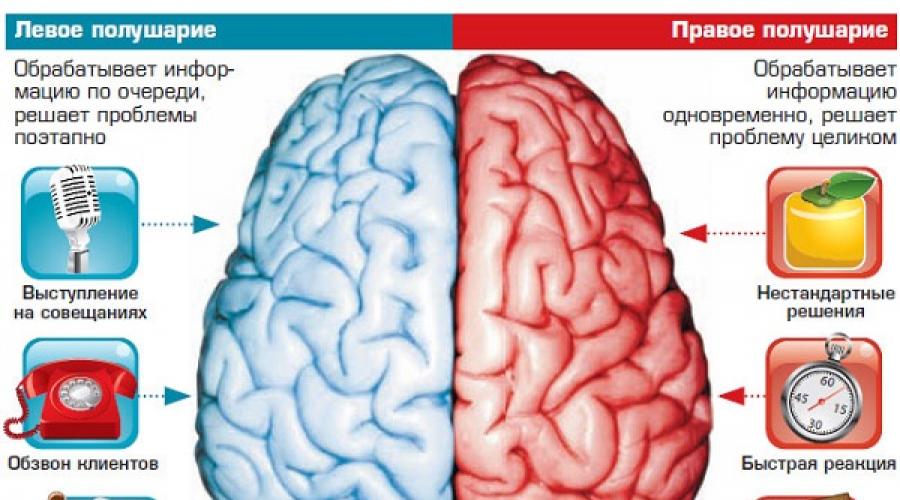 Тест на полушария мозга картинки