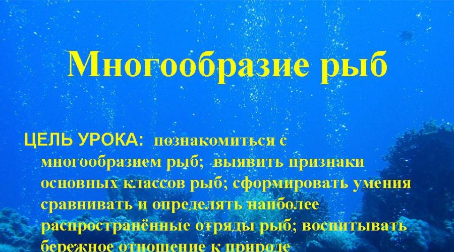 Многообразие и значение рыб урок. Многообразие рыб. Отряды Хрящевых и их характеристика